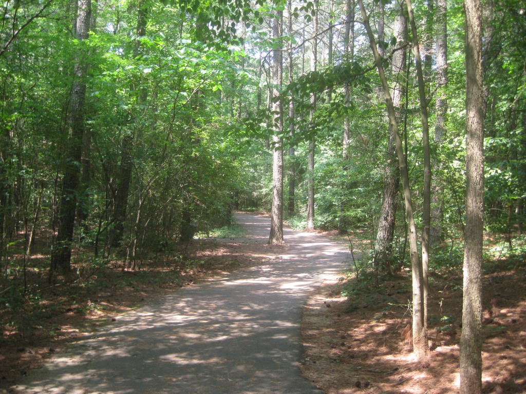 Walking Trails at Jetton Park in Cornelius NC Lake Norman Living